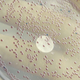 Illustration for article titled German Outbreak Caused By Mutant Super-Glue Producing Strain of E. Coli